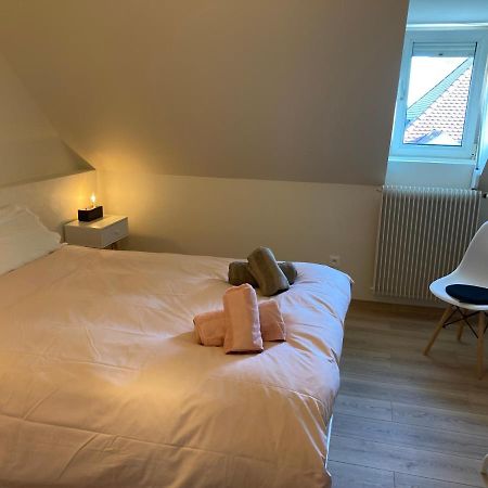 Les Moulins Tres Agreable Et Idealement Situe Lägenhet Colmar Exteriör bild
