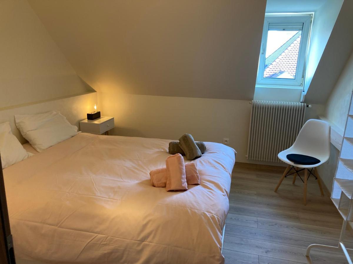 Les Moulins Tres Agreable Et Idealement Situe Lägenhet Colmar Exteriör bild