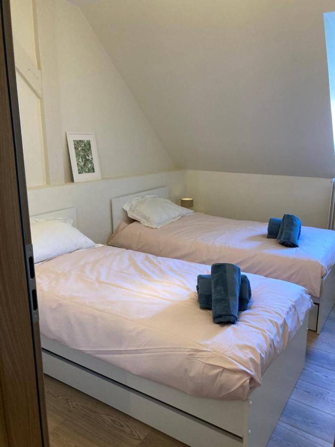 Les Moulins Tres Agreable Et Idealement Situe Lägenhet Colmar Exteriör bild