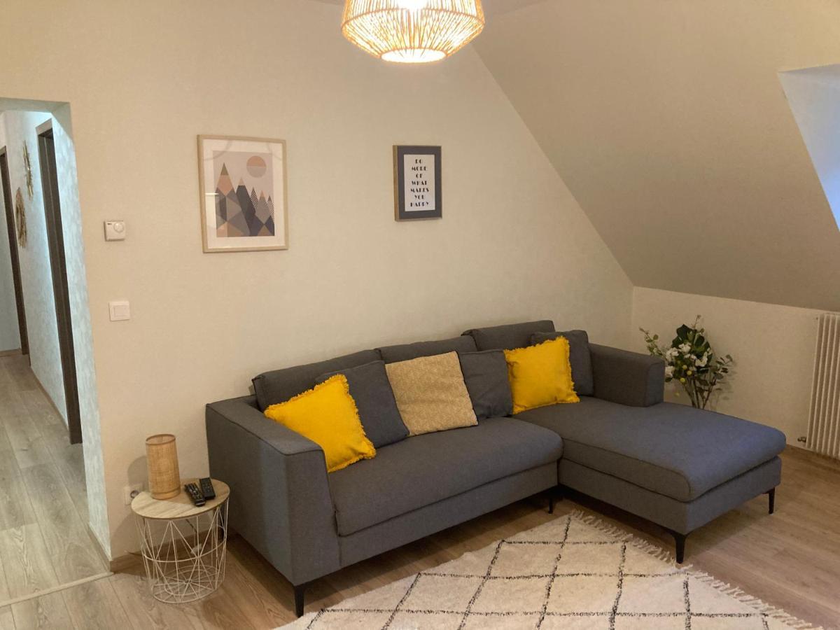 Les Moulins Tres Agreable Et Idealement Situe Lägenhet Colmar Exteriör bild